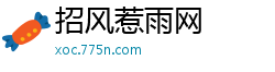 招风惹雨网